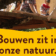 biuwen sits in nature banner