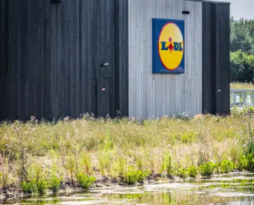 Lidl Accoya bois noir