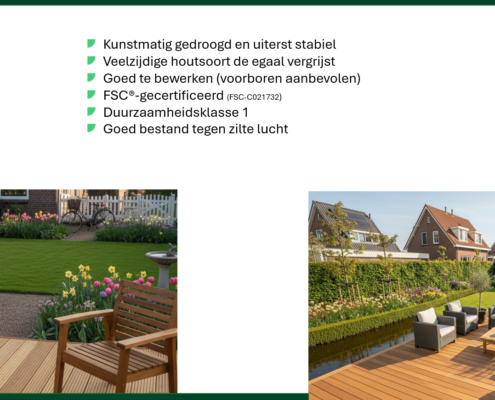 Schermafbeelding 2026-03-12 134846